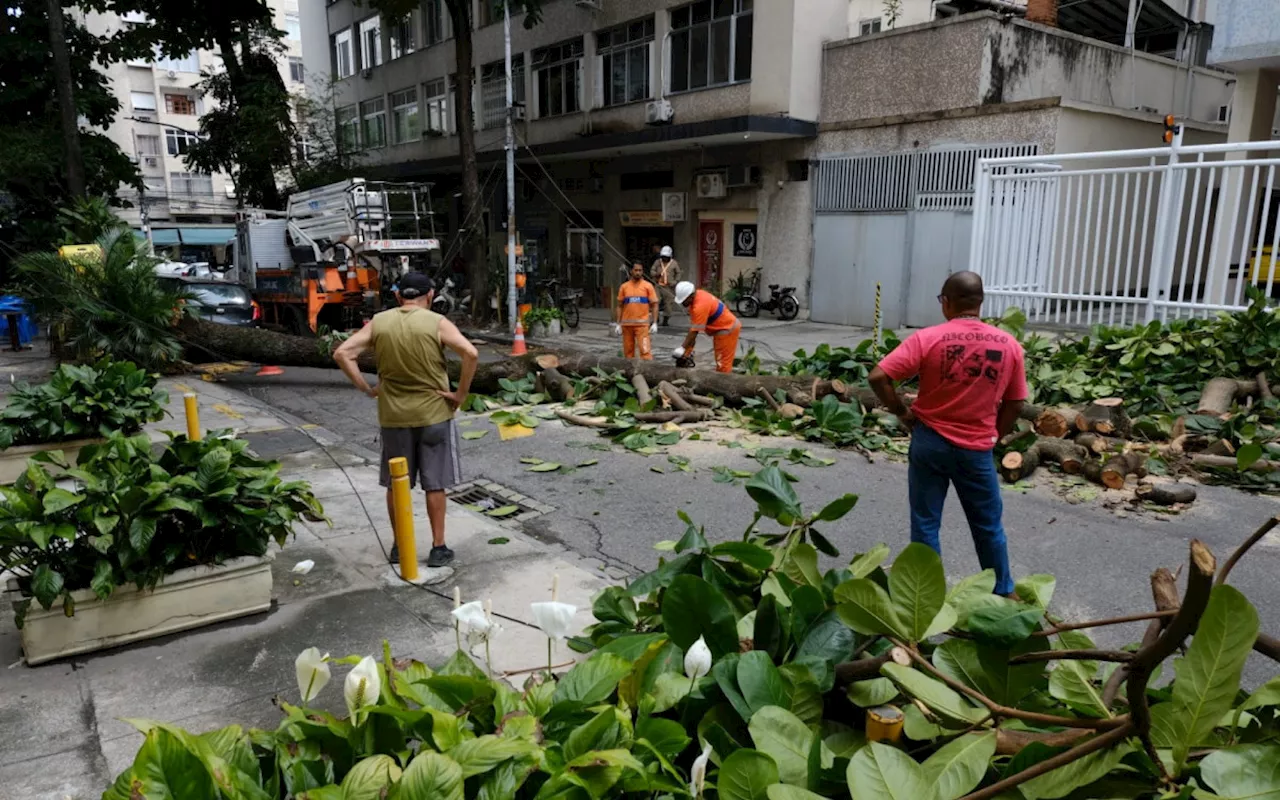 Árvore cai em cima de fiação e fica atravessada em rua da Tijuca