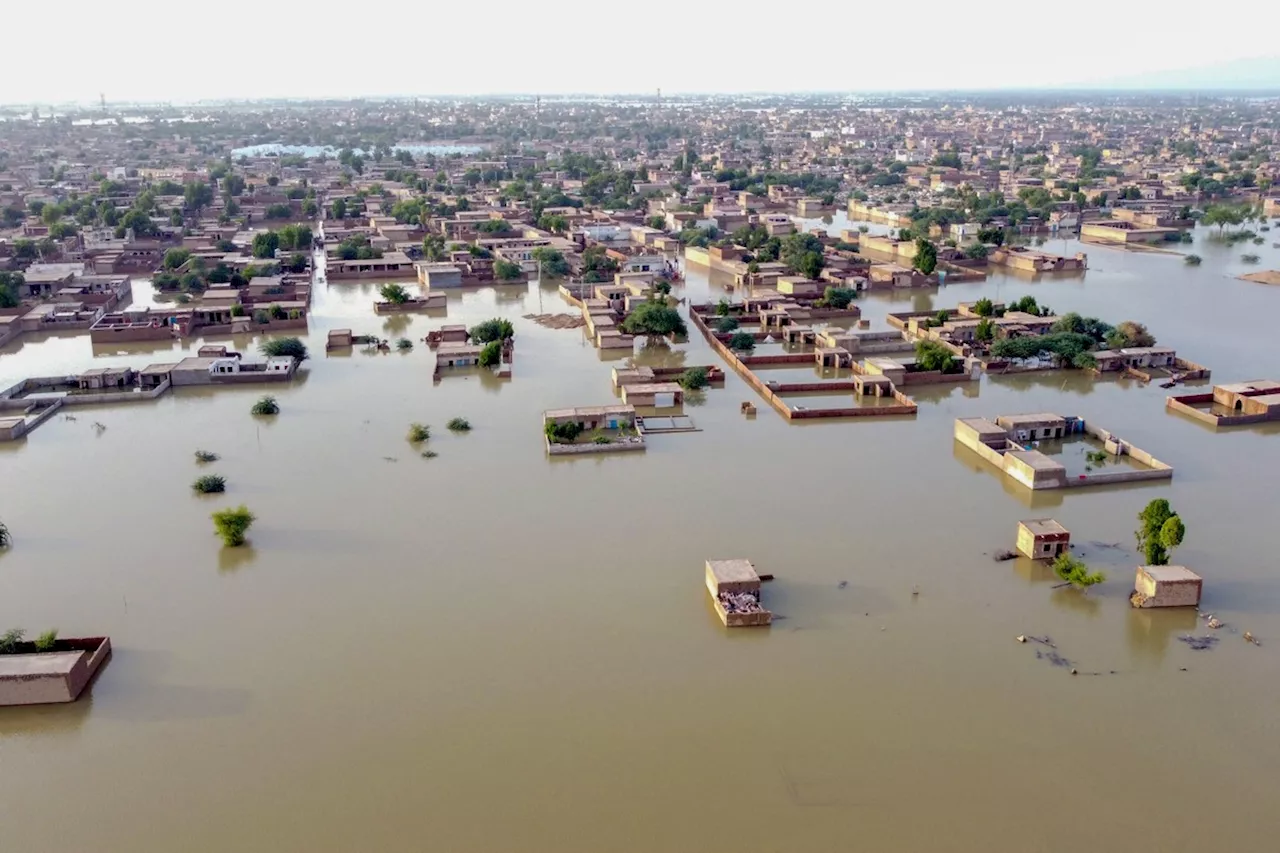 Aumento Trágico de Desastres Hídricos em 2024: Brasil Impactado e Alerta para 2025