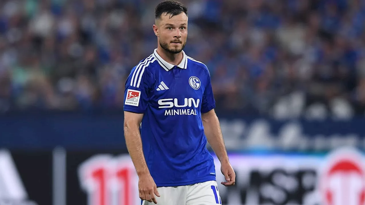 Gantenbein Herausforderer von Bulut beim FC Schalke 04