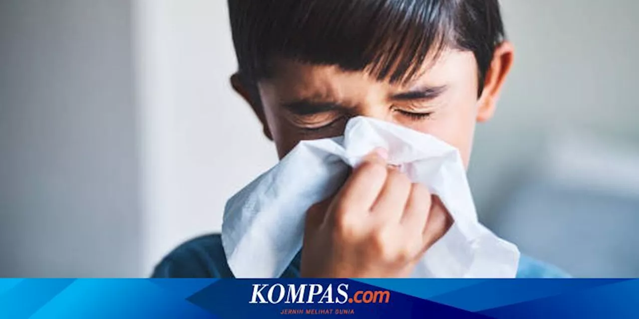 Menteri Kesehatan Tenangkan Masyarakat, HMPV Bukan Virus Baru