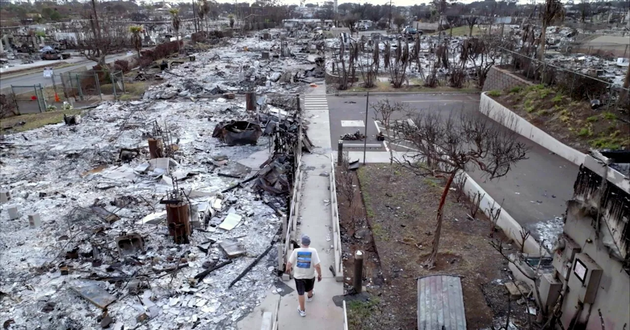 FRONTLINE Documentary Investigates Maui Wildfire Tragedy