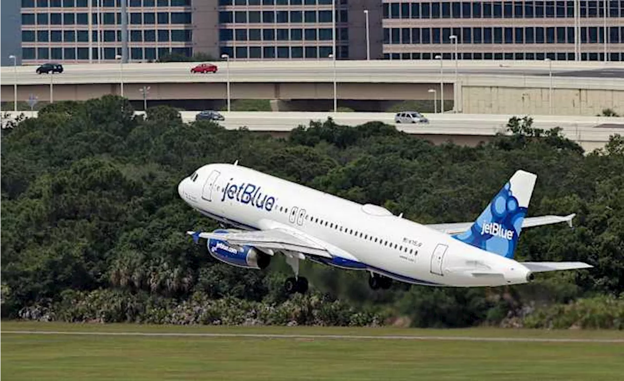 Two Bodies Found in JetBlue Plane's Landing Gear