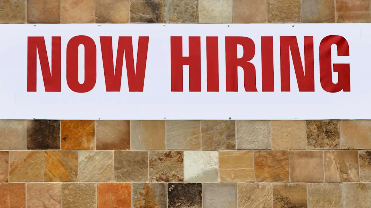 U.S. Job Openings Rise Unexpectedly in November