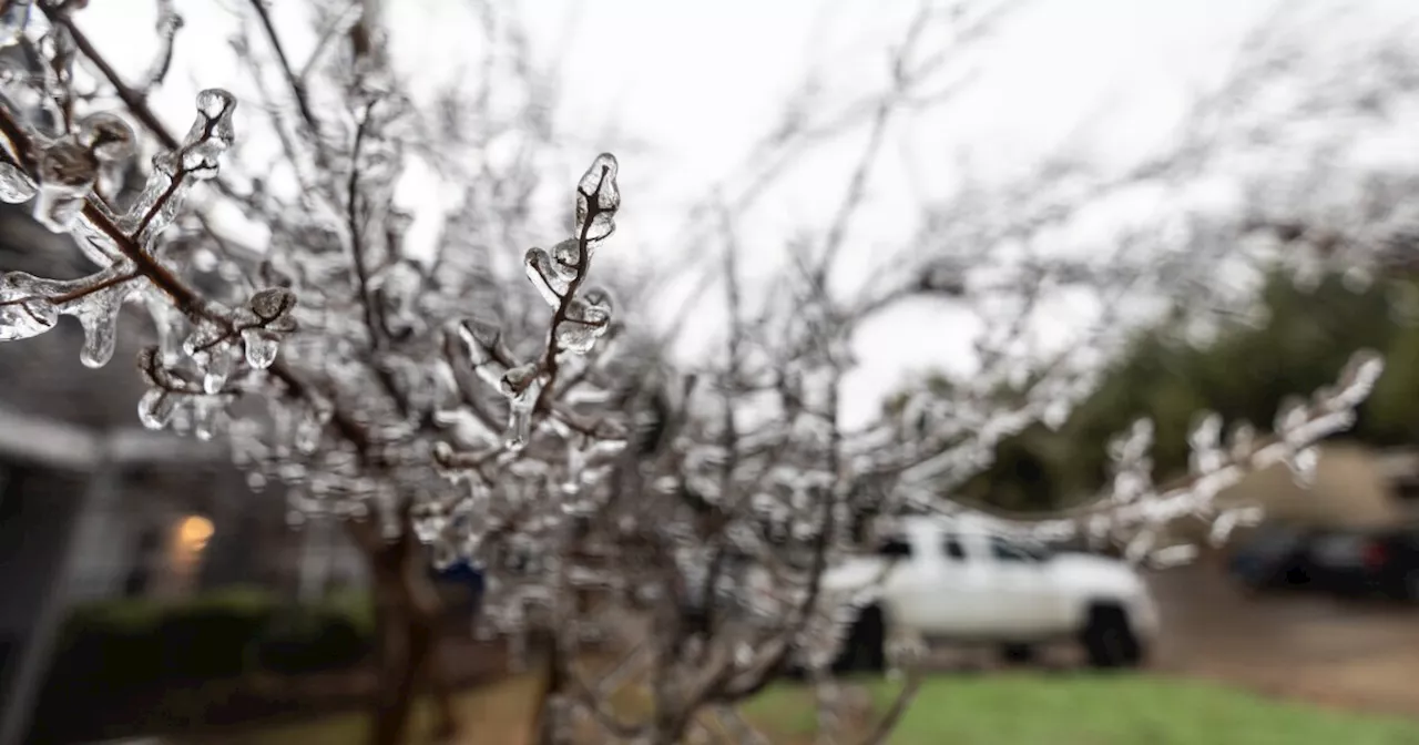 Austin Prepares for First Cold Snap of the Season