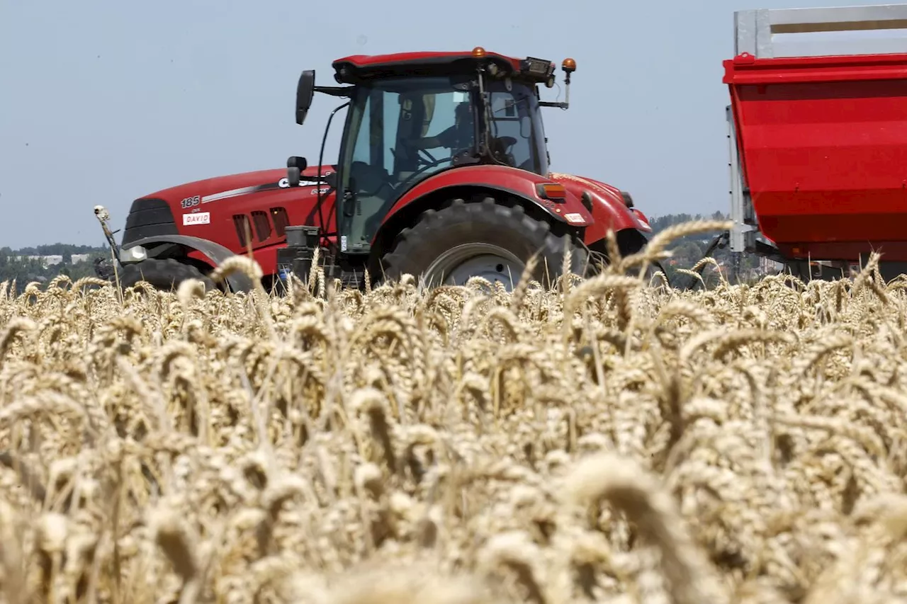 Début de la campagne des élections aux chambres d'agriculture