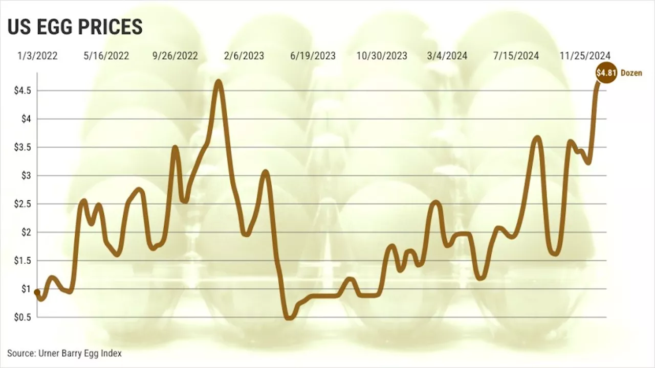 Bird Flu Ravages Egg Supply, Driving Prices Soaring