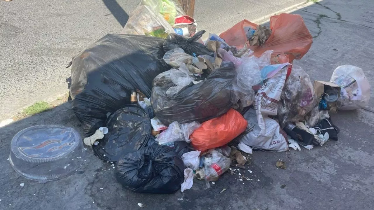 Exhibirán en redes sociales a personas que tiren basura fuera de horarios de recolección