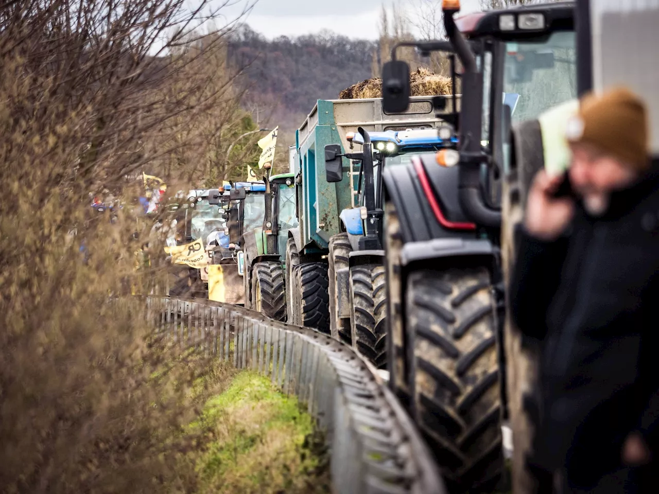 Élection Syndicale Agricole: La Coordination Rurale Vise la FNSEA