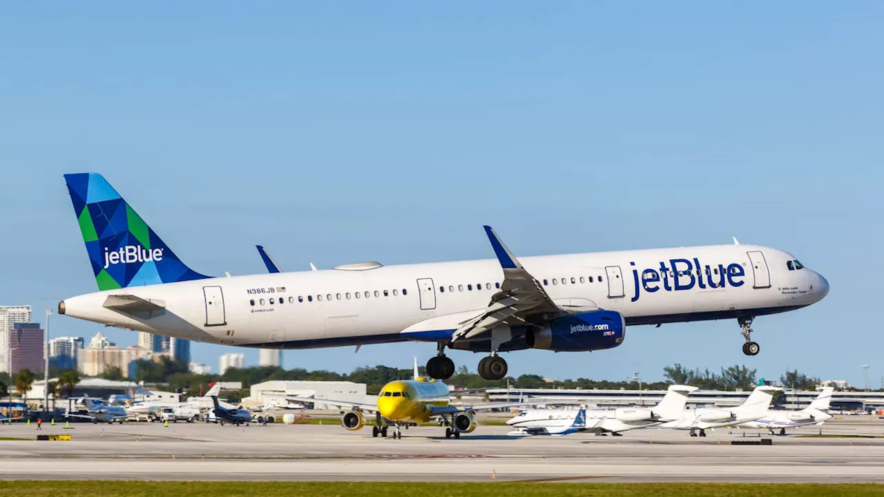 Bodies Found in JetBlue Plane's Landing Gear After Florida Arrival