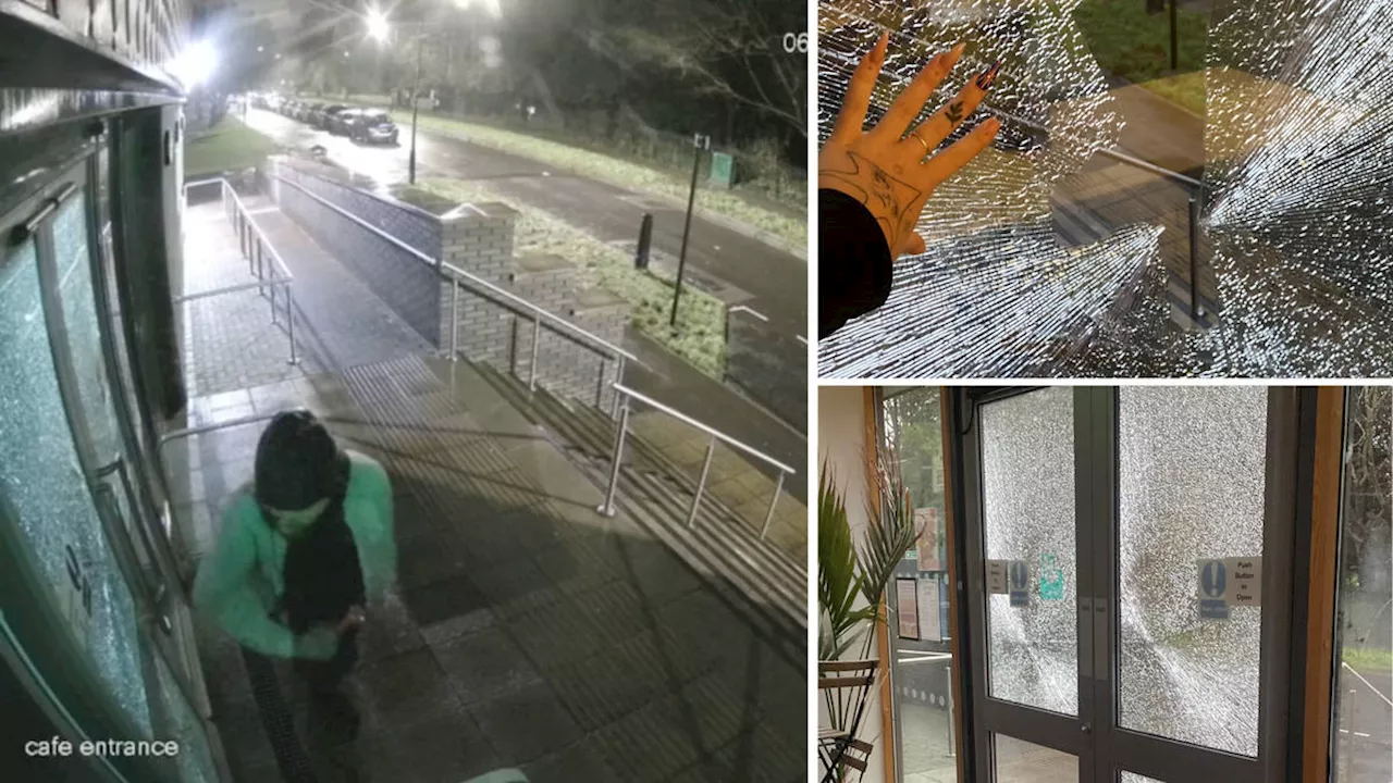 Cafe Hiring People With Learning Disabilities Forced to Close After Repeated Vandalism