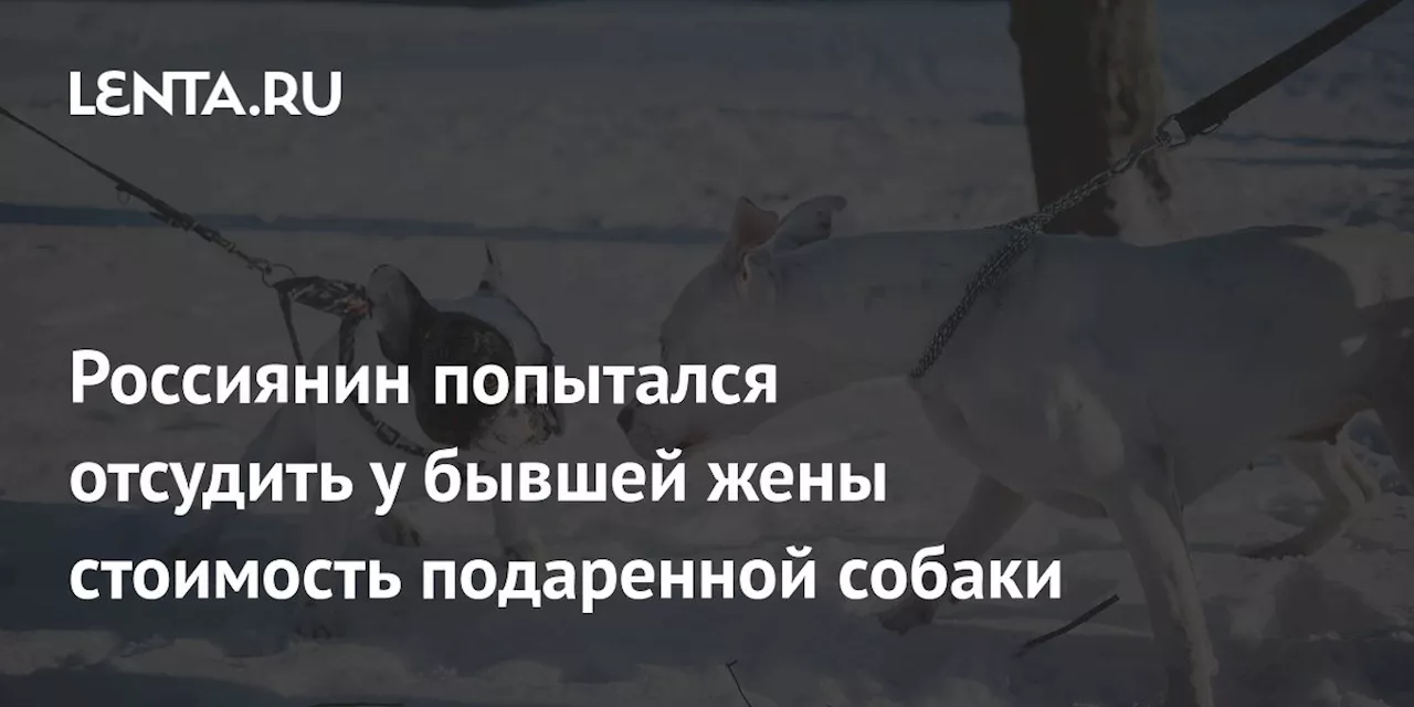 Россиянин не смог отсудить стоимость собаки у бывшей жены