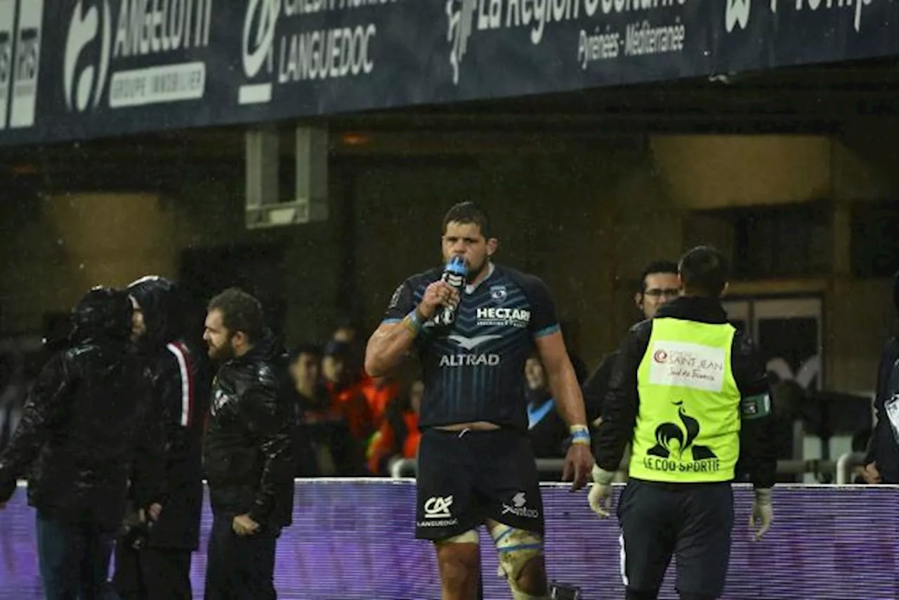 Paul Willemse, Blessure Et Incertitude Pour Le Deuxième Ligne De Montpellier