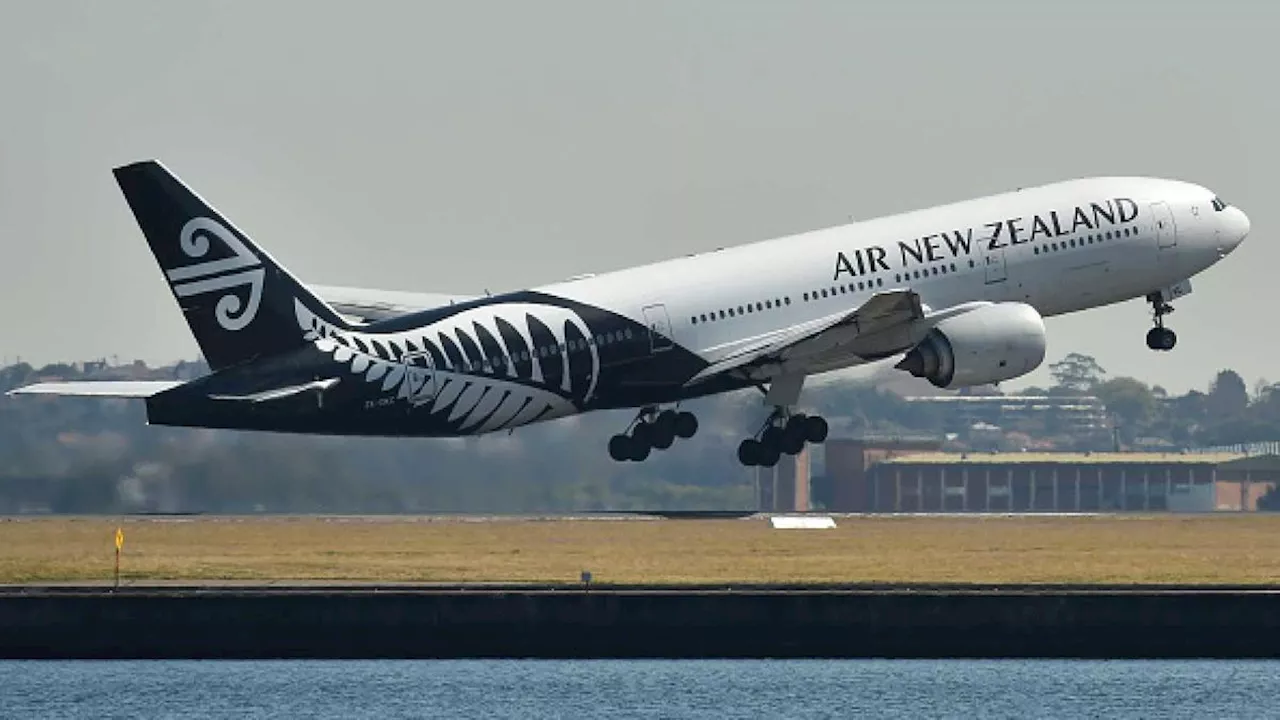 Pesawat Air New Zealand Batal Lepas Landas pada Detik-detik Terakhir Gara-gara Burung