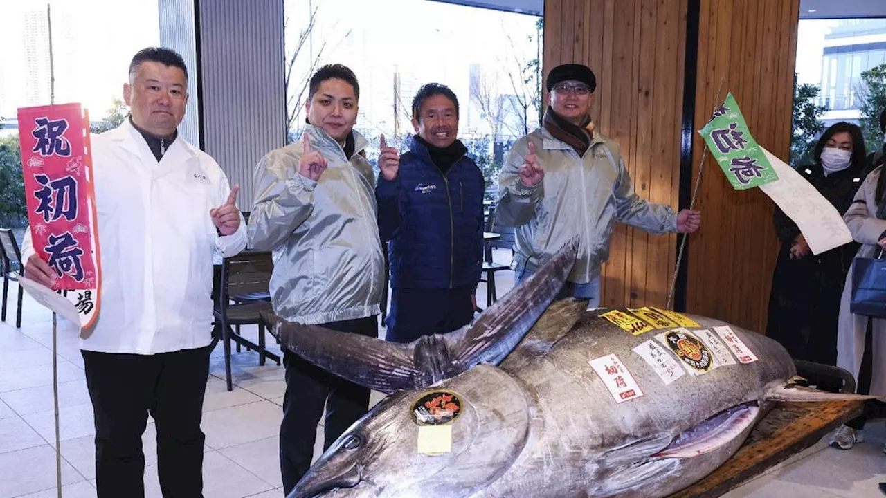 Tuna Sirip Biru Terjual Rp21 Miliar di Lelang Tahun Baru Jepang