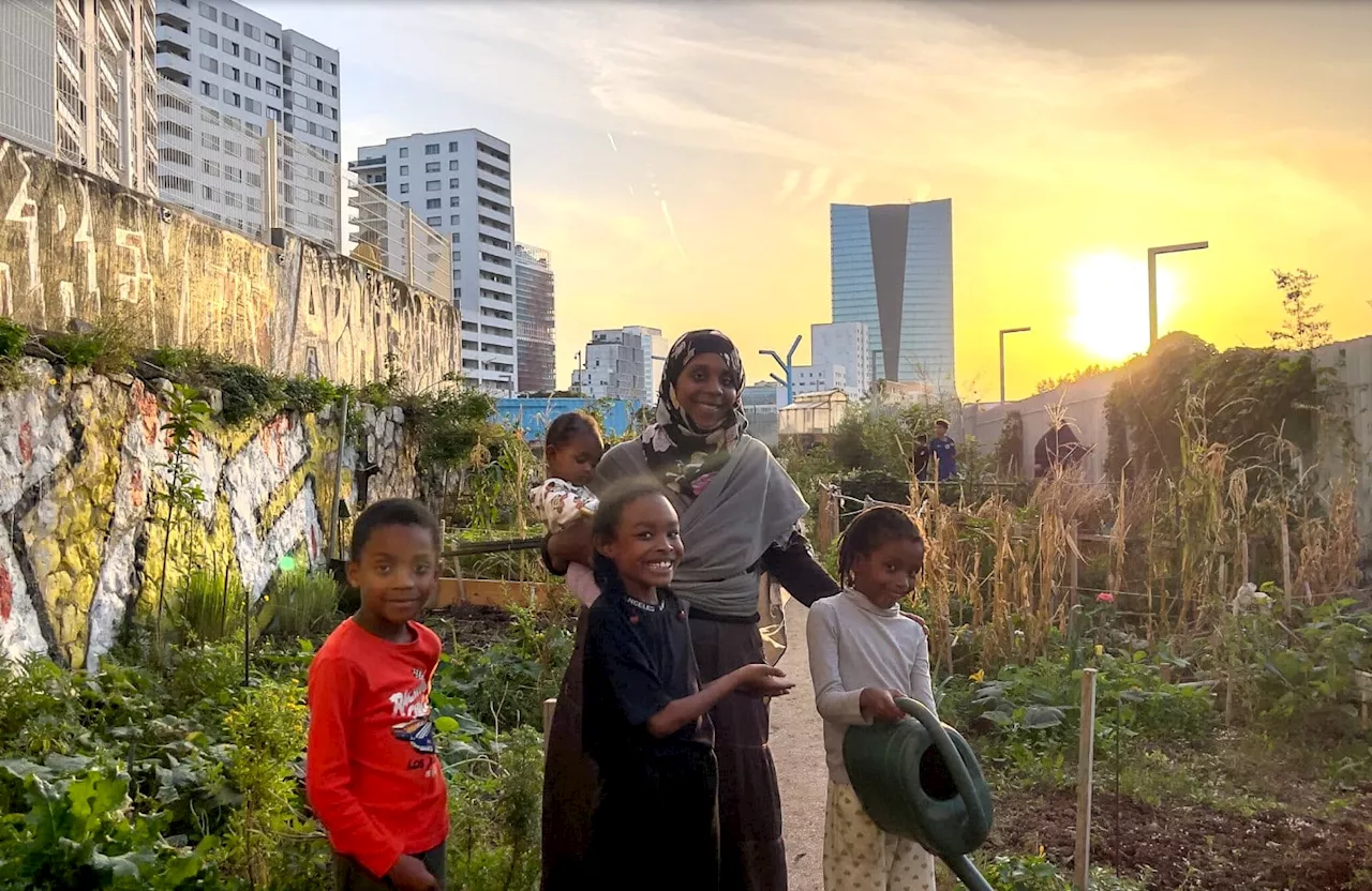 Le Jardin Partagé de Félix-Pyat: Un Lieu de Rencontre et de Partage