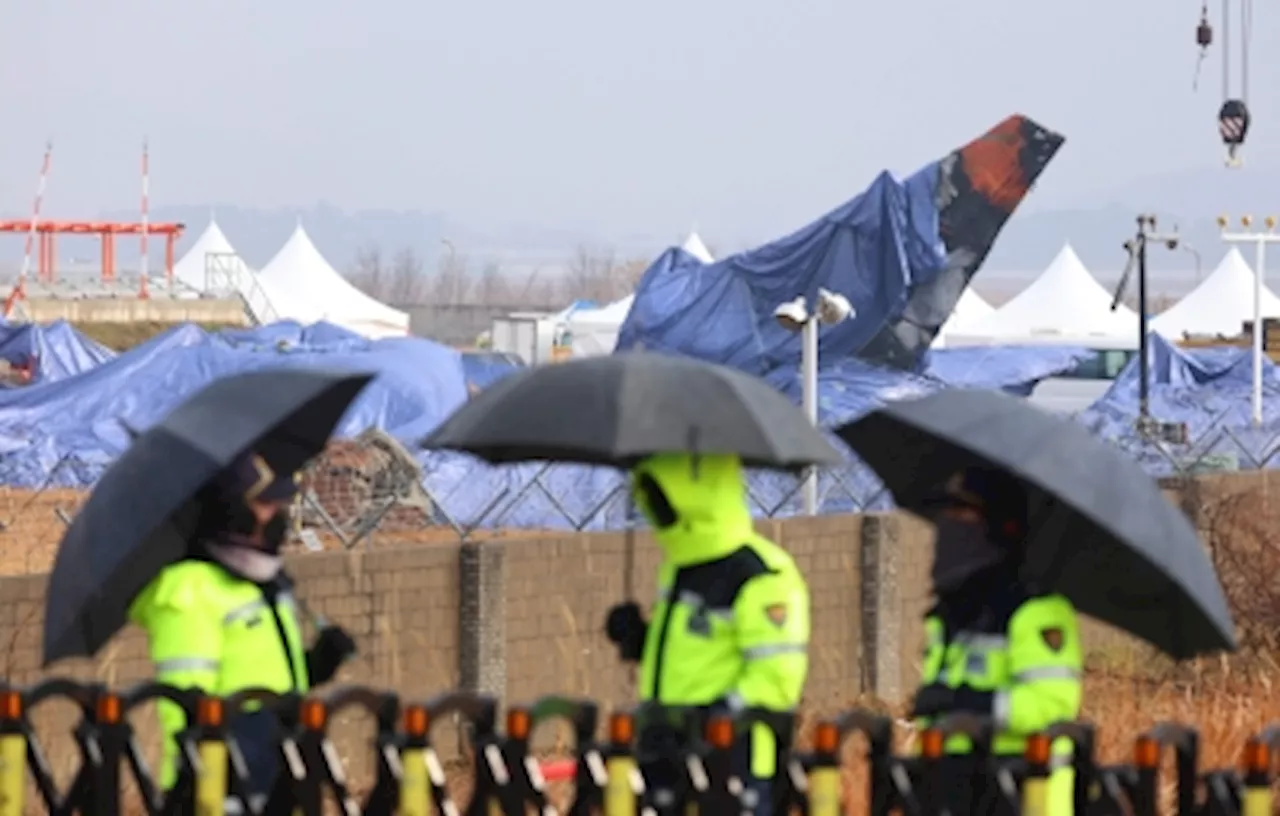 South Korean Parties Unite to Probe Deadly Jeju Air Crash