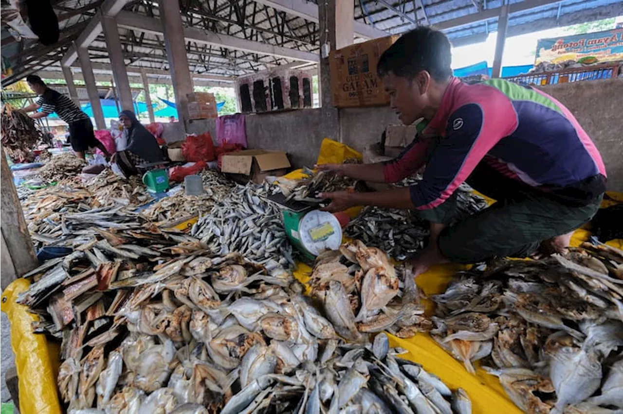 Biaya Haji Turun, Pelni Lepas Kapal Tol Laut dan Lain-lain