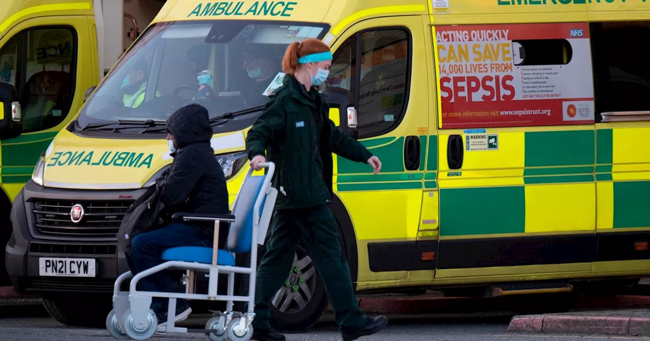 Hundreds of Patients Stuck in Ambulances as Hospitals Struggle with Flu Surge