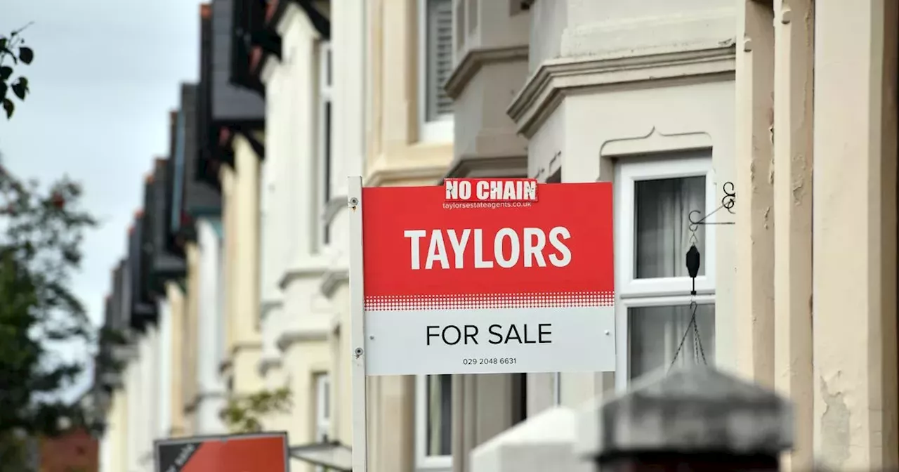 UK House Prices Fall Slightly After Five Months of Growth