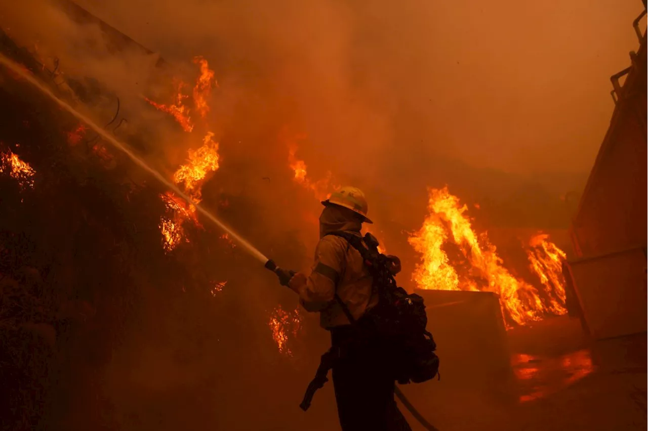 Fast-Moving Wildfire Threatens Celebrity Homes in Los Angeles