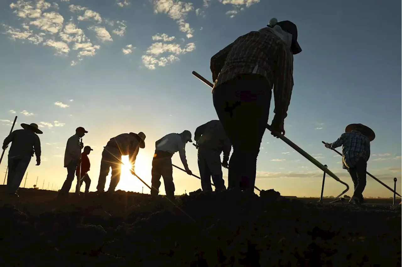 Imperial Valley: Betrayed by Both Sides