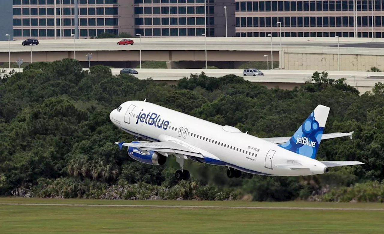 Two Bodies Found in Landing Gear of JetBlue Plane in Florida