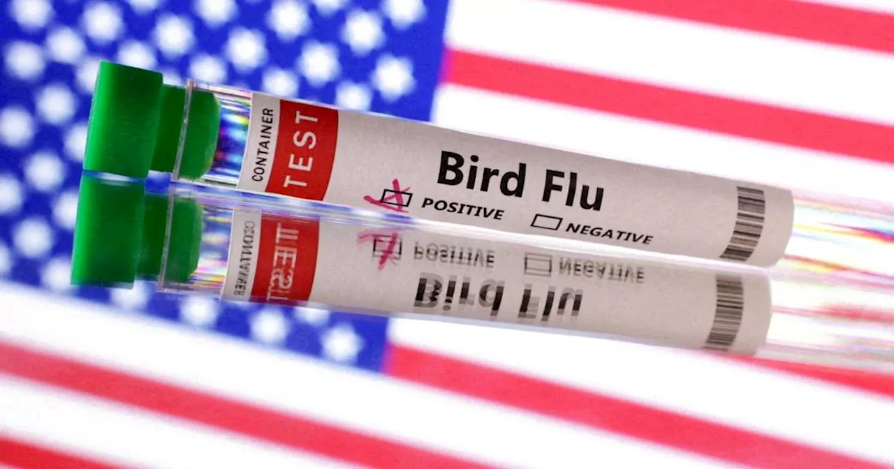 First US Bird Flu Death Confirmed in Louisiana