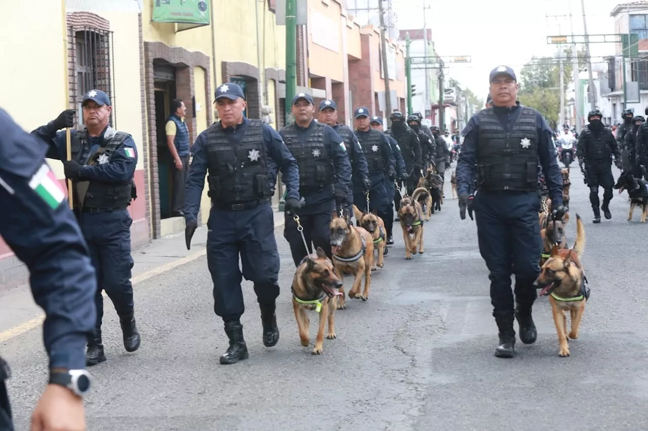 En Chimalhuacán, buscan a dos por la muerte de 'Negra', perrita amarrada y atropellada