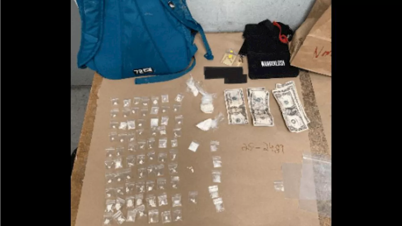 7 arrested during narcotics operation in Seattle