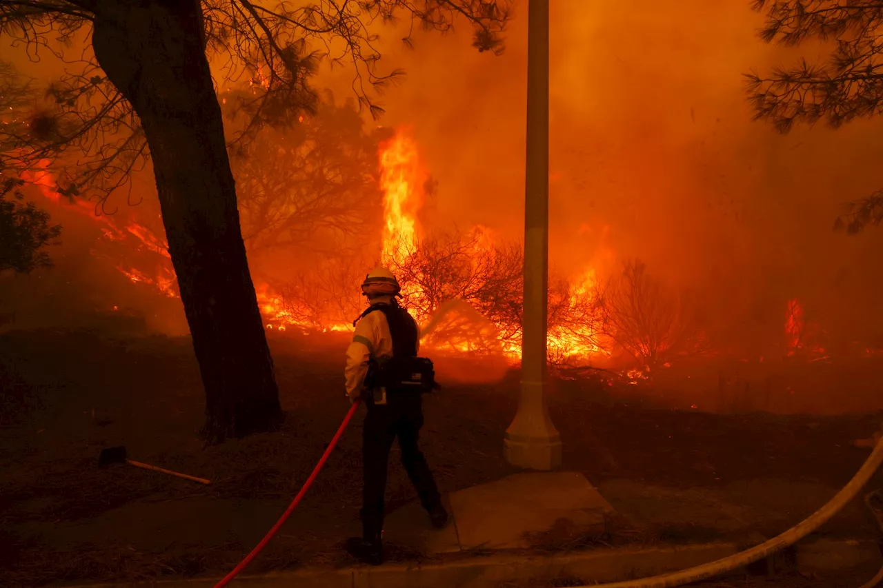 Waldbrand in Pacific Palisades: Tausende Evakuieren