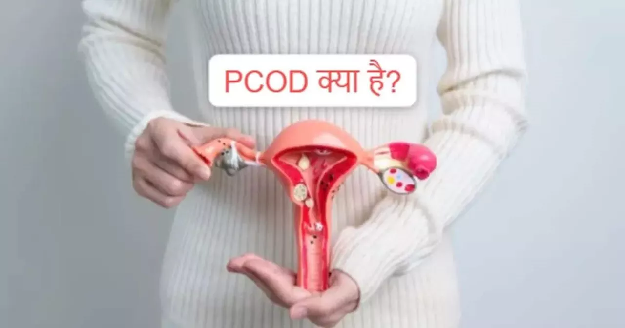 PCOD Treatment: क्या पीसीओडी हमेशा के लिए खत्म हो सकता है? जानें इसे कंट्रोल करने के तरीके