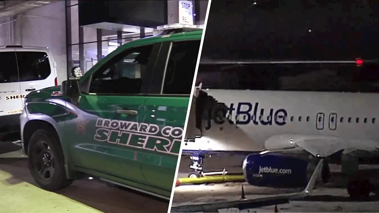 Two people found dead in JetBlue plane landing gear after NYC-Florida flight