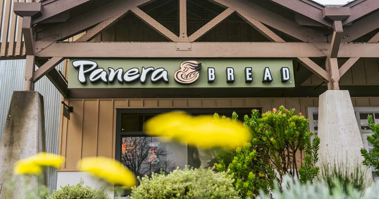 Panera Bread CEO Steps Down Amidst IPO Delays