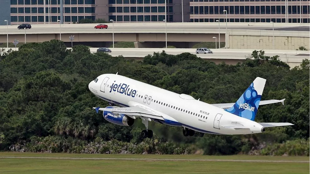 2 people found dead in JetBlue flight's landing gear after landing in Florida