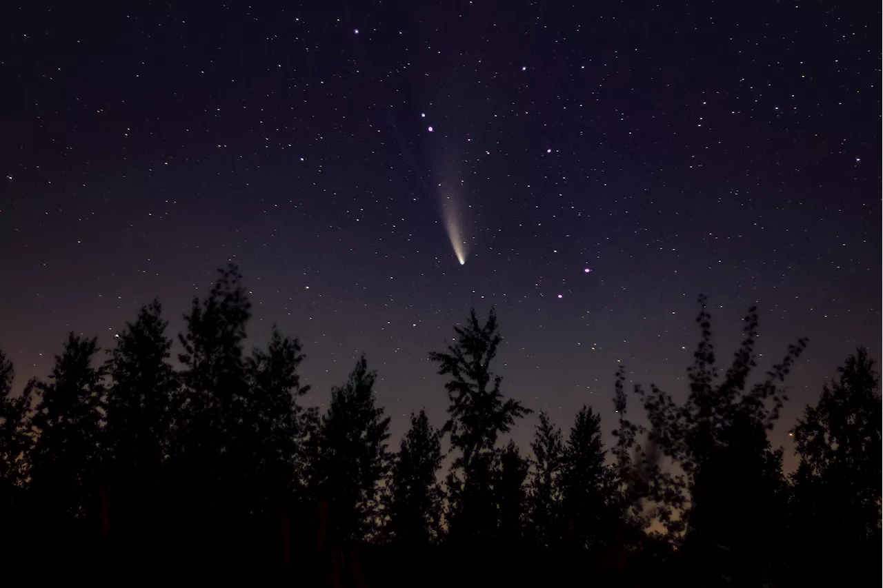 Comet ATLAS Could Shine Brighter Than Venus