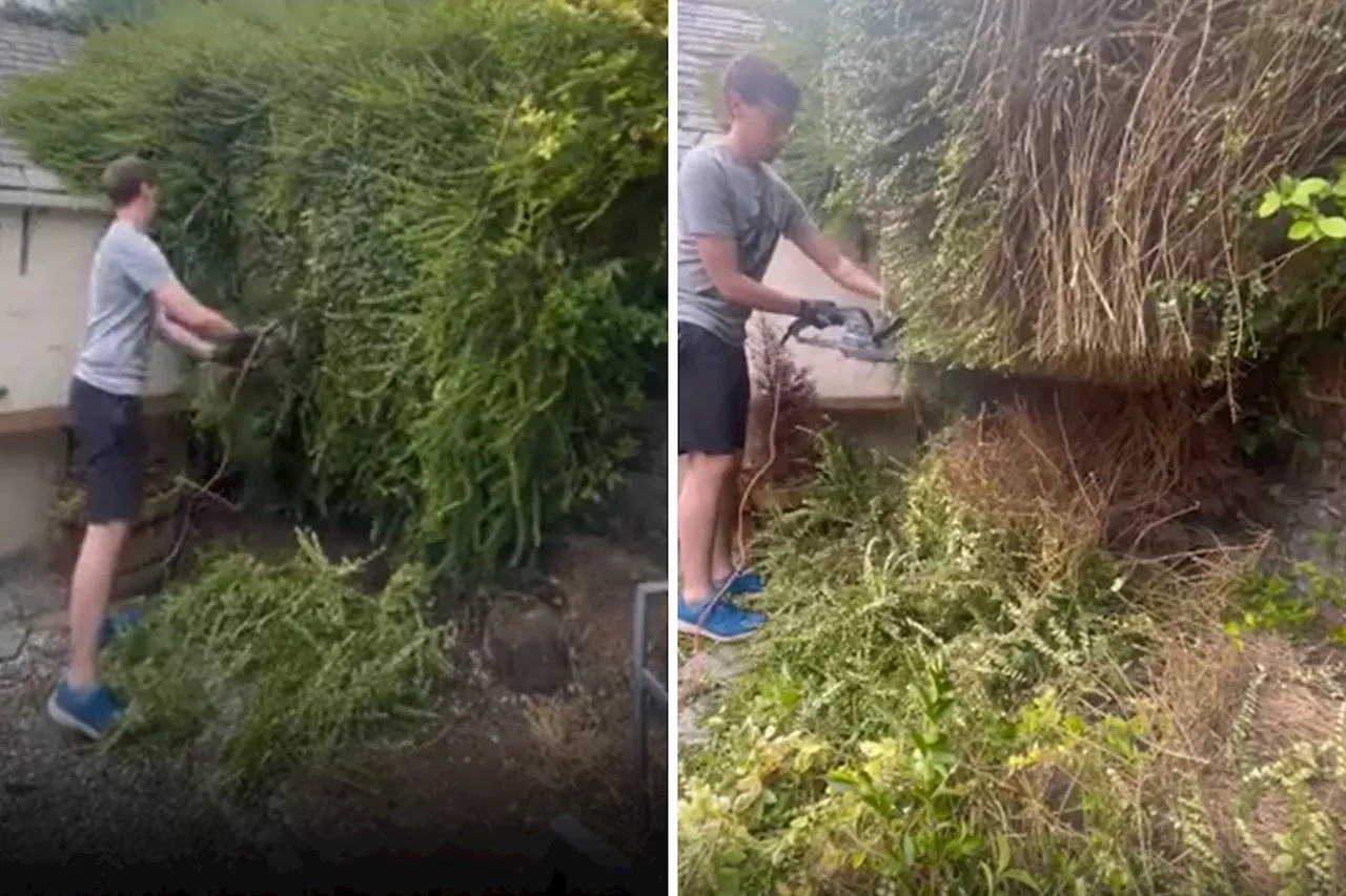 Couple Discover Hidden Building in Backyard