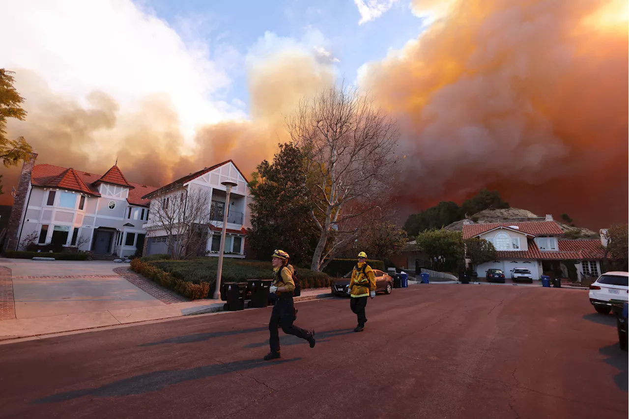 Pacific Palisades Fire Forces Celebrity Evacuations