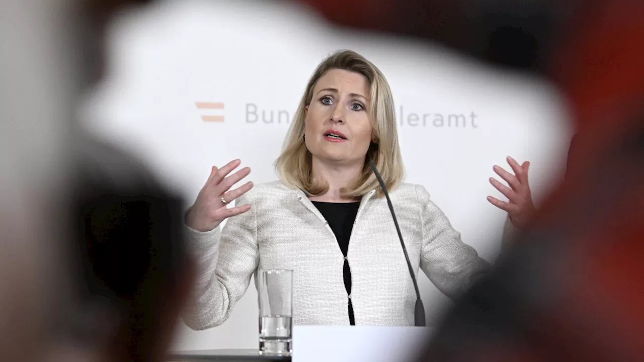 Tausanne Raab Verlässt Politik für ICMPD-Job