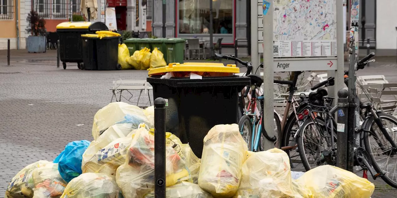 Gelbe Tonne oder gelber Sack: Was darf rein?