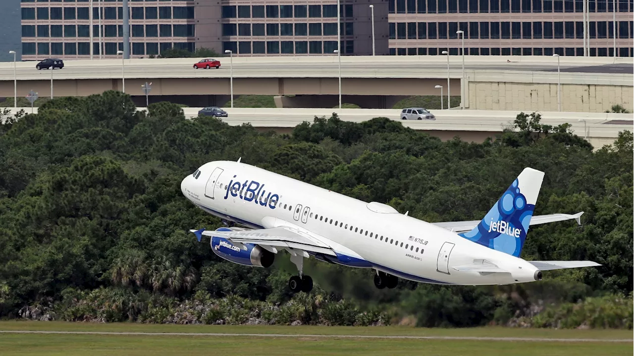 Two Bodies Found in JetBlue Plane's Landing Gear