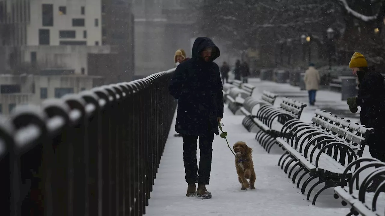 Wintersturm in den USA: Tausende ohne Strom