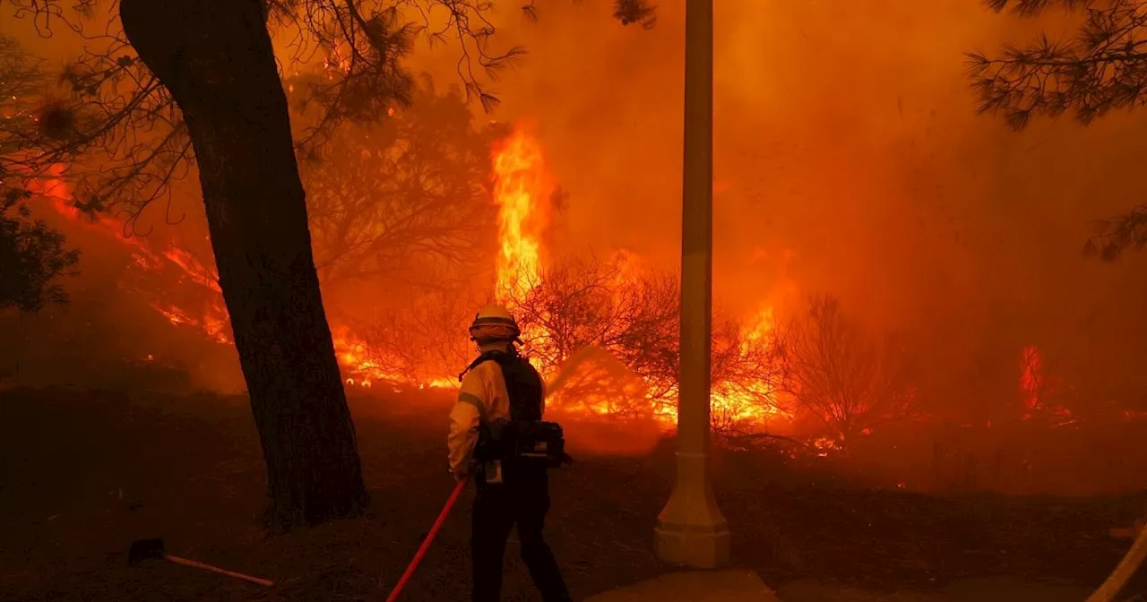 Waldbrand bei Los Angeles schlägt Tausende in die Flucht