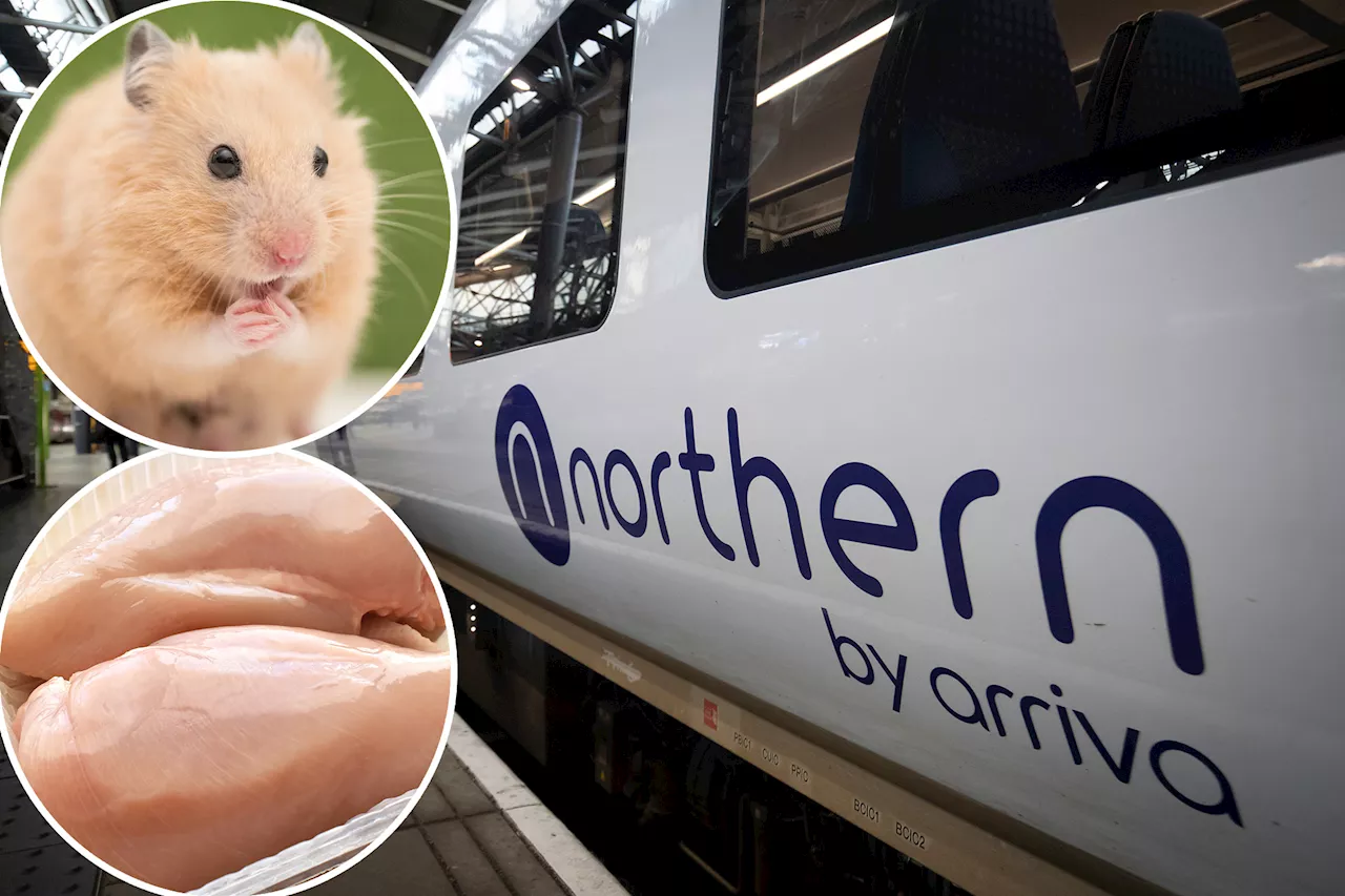 Train Operators Reveal Weirdest Lost Items, From Prosthetic Legs to 22 lbs of Chicken Breasts