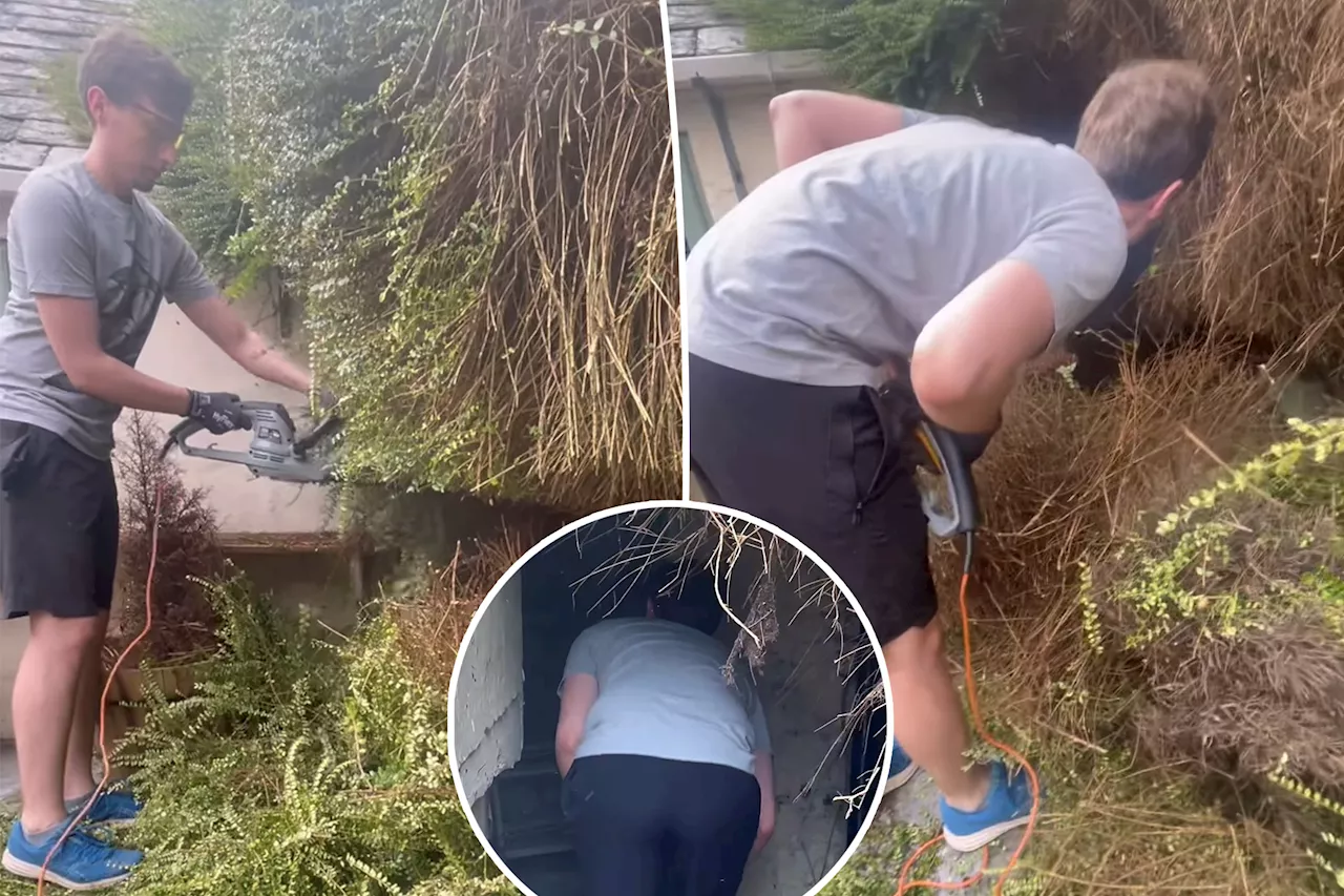 UK Couple Unearths Hidden Stone Outhouse in Backyard