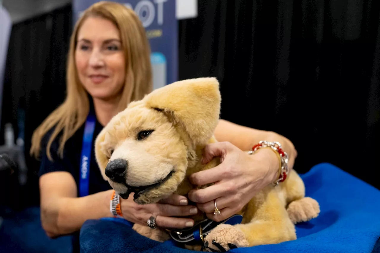 CES 2025: Robotic Dog and Innovations Take Center Stage