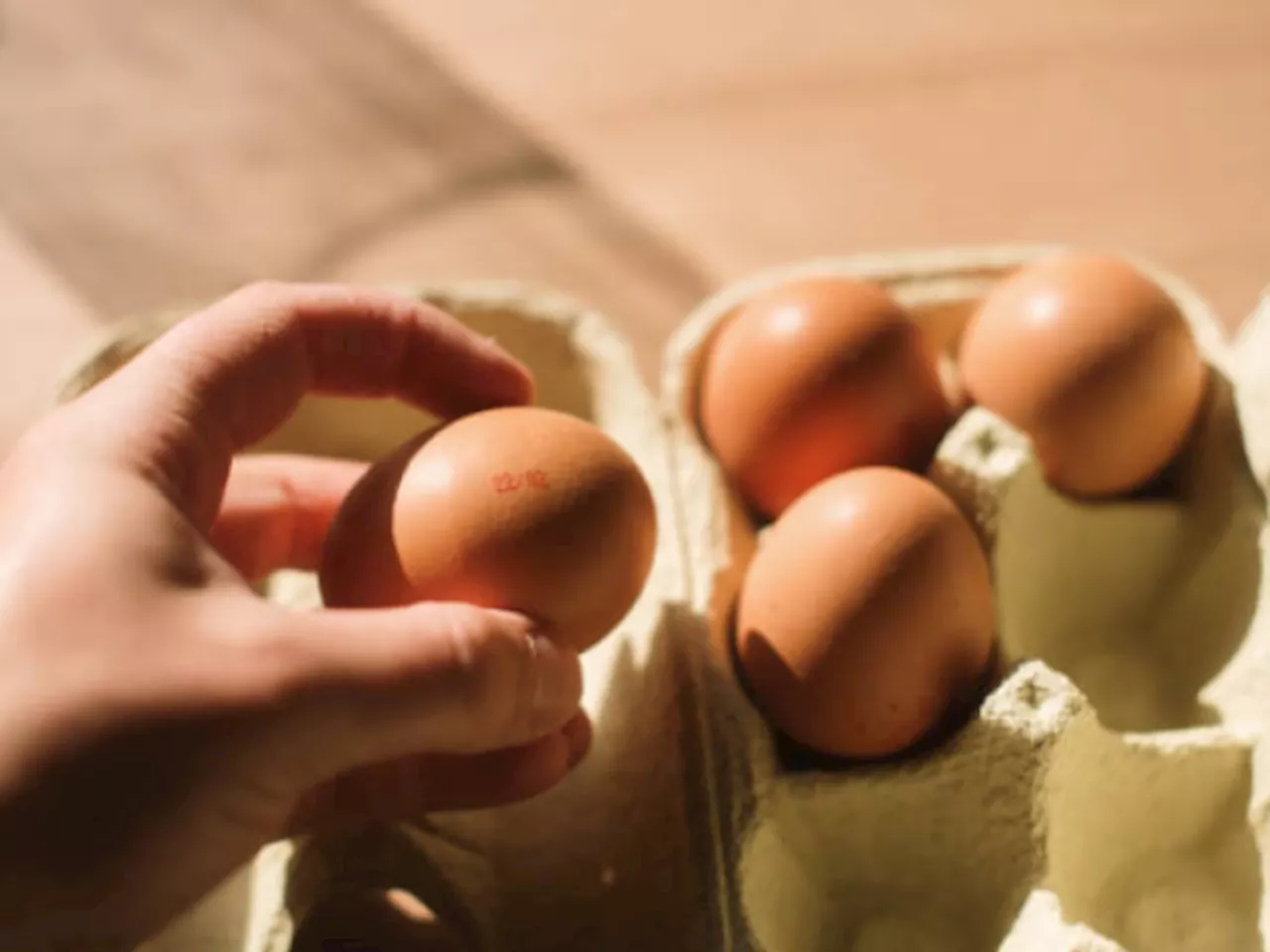 Huevo: la mejor manera de prepararlo para aprovechar sus nutrientes