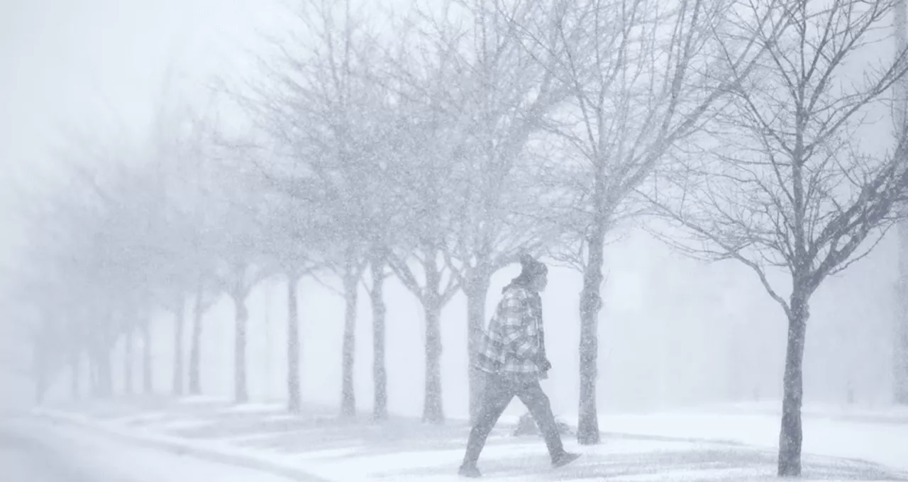 Histórica ola invernal en Estados Unidos provoca choques, accidentes en carretera y cancelación de vuelos