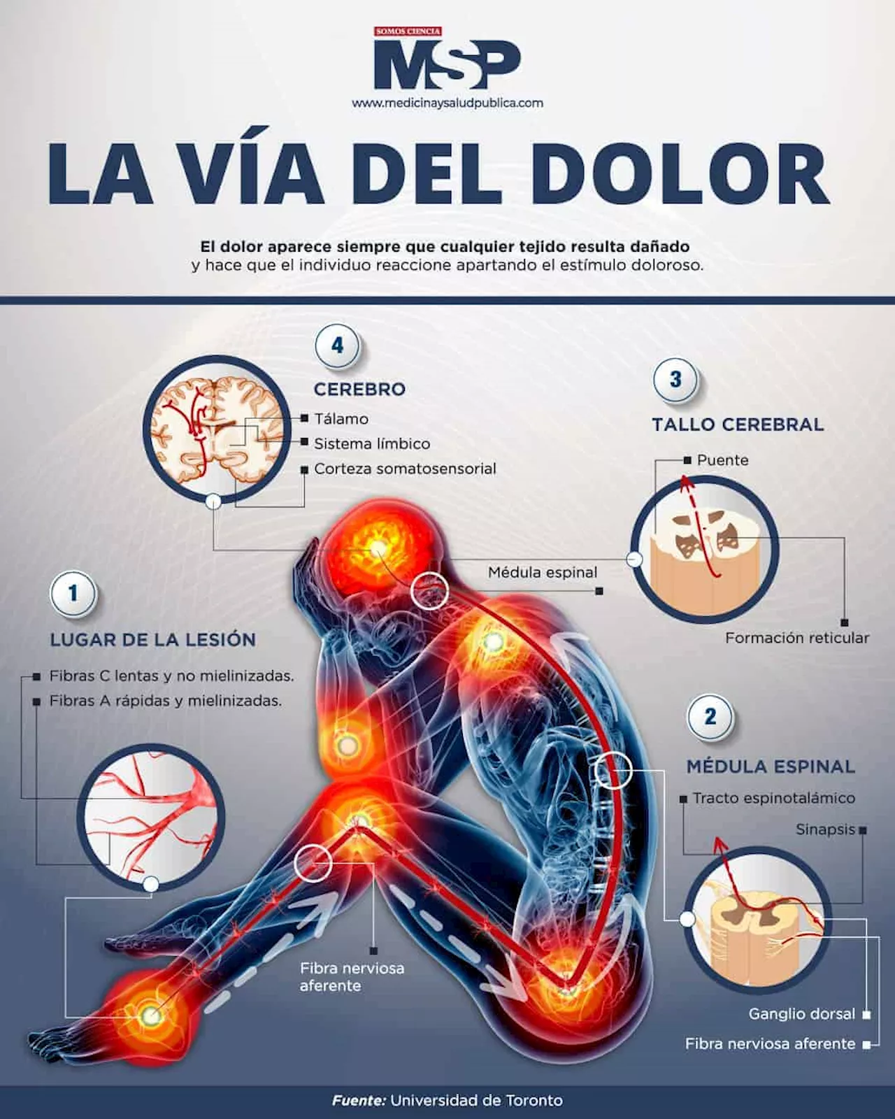 LA VÍA DEL DOLOR