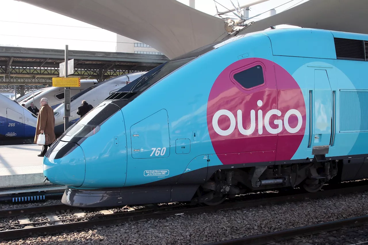 SNCF : les syndicats alertent sur l'état 'déplorable' des Ouigo