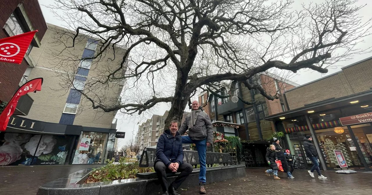 Informatiezuil vertelt ware verhaal groene reus in Emmer Noorderstraat